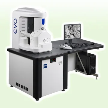 Scanning electron microscope